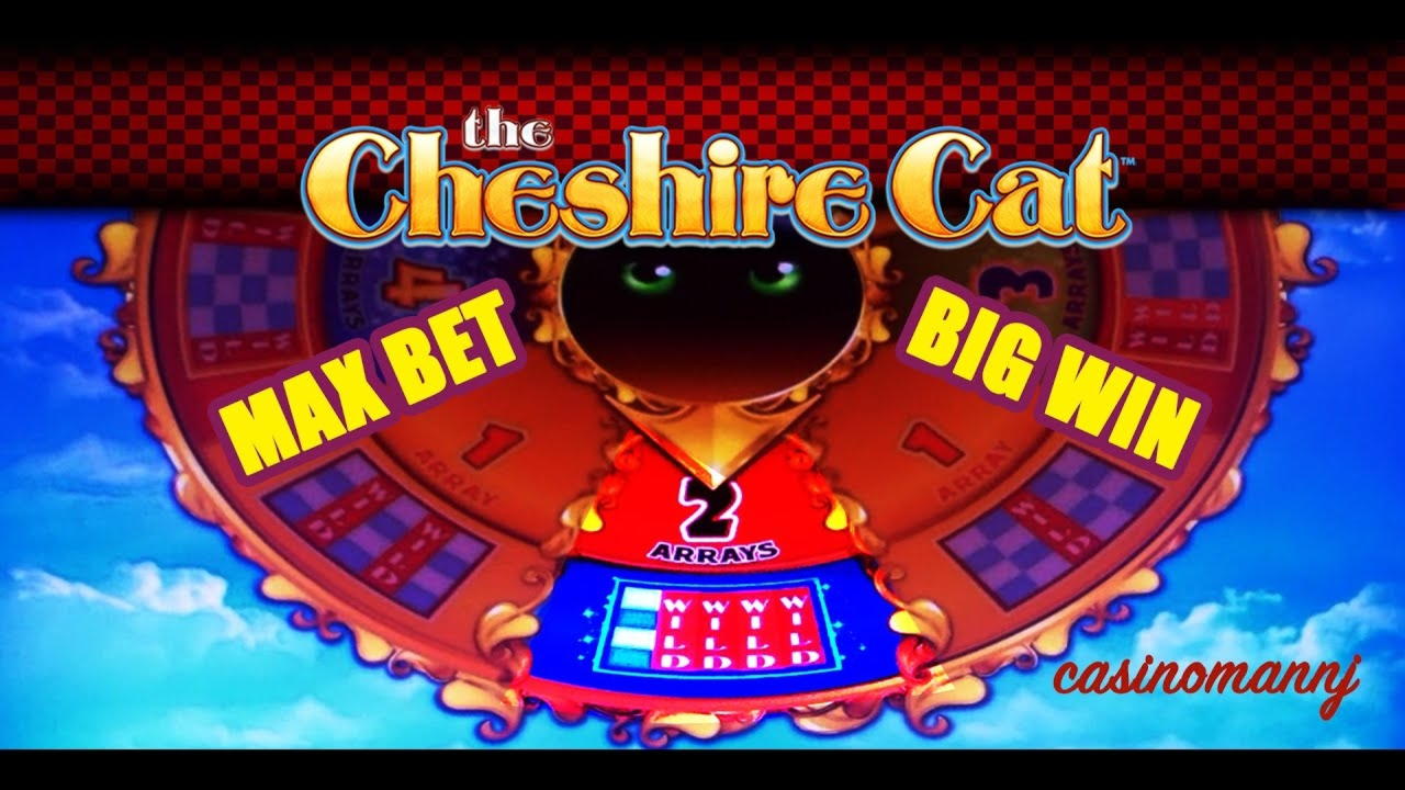 €1010 no deposit bonus code at CasiPlay Casino