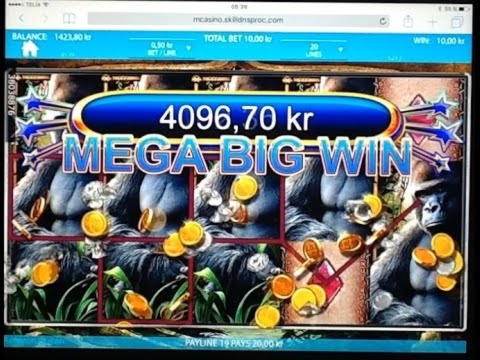 €385 No deposit casino bonus at Winner Casino