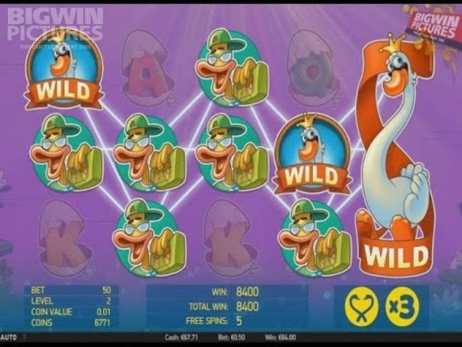 255% Signup Casino Bonus at CasiPlay Casino