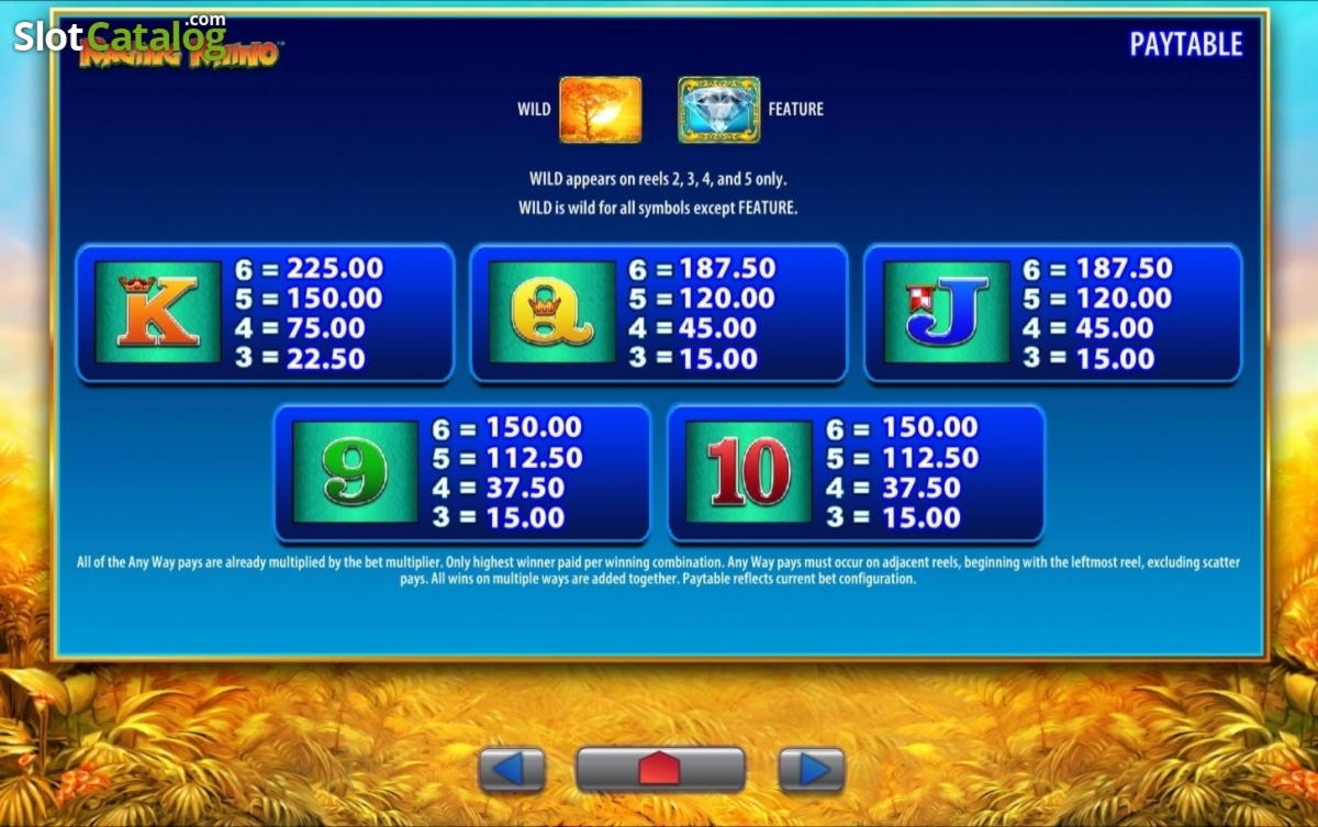 EUR 3920 No deposit bonus code at Dunder Casino