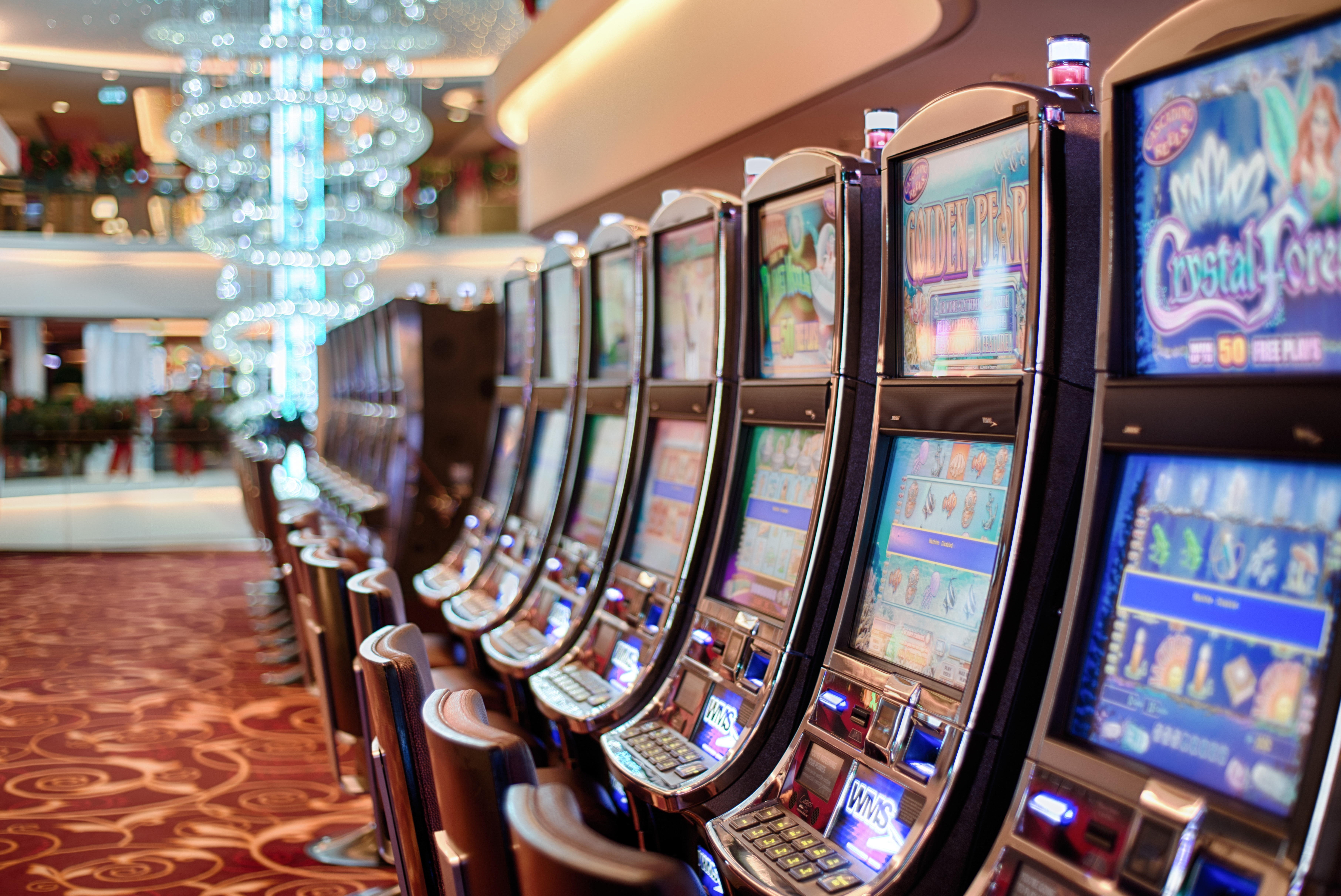 895% No Rules Bonus! at Royal Panda Casino