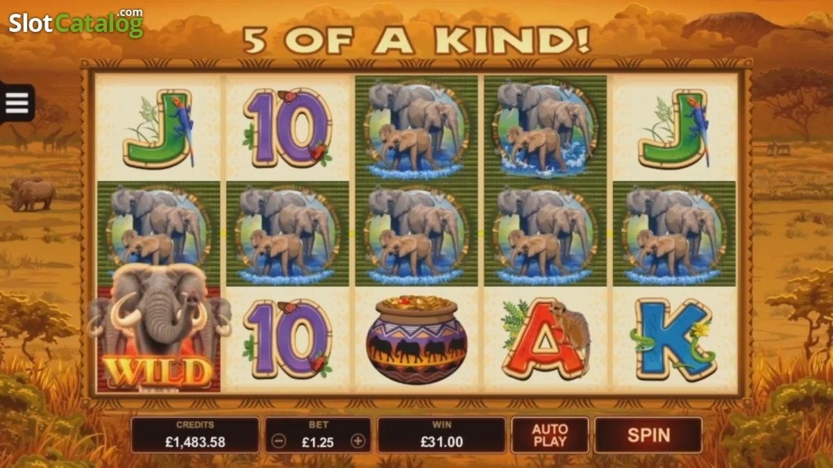 £305 Online Casino Tournament at CasiPlay Casino
