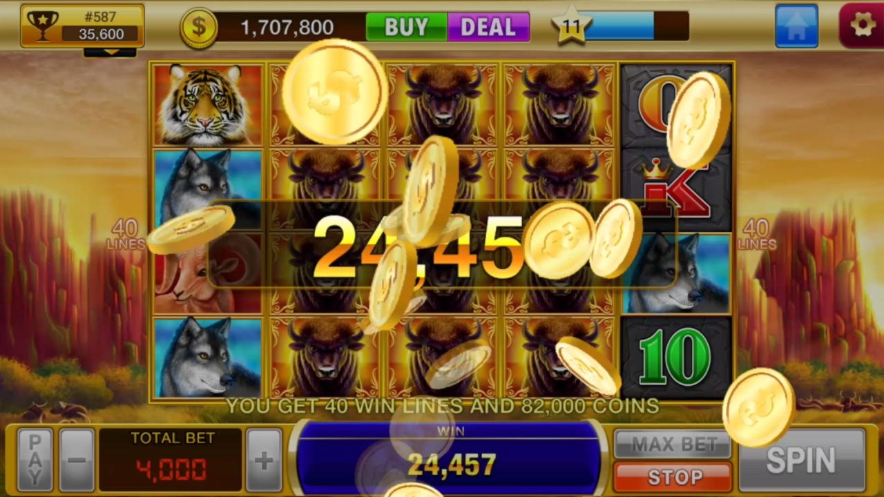 480% Match at a Casino at Winner Casino