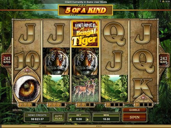 285% Casino match bonus at CasiPlay Casino