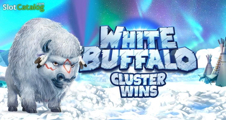 425% Match Bonus at Dunder Casino