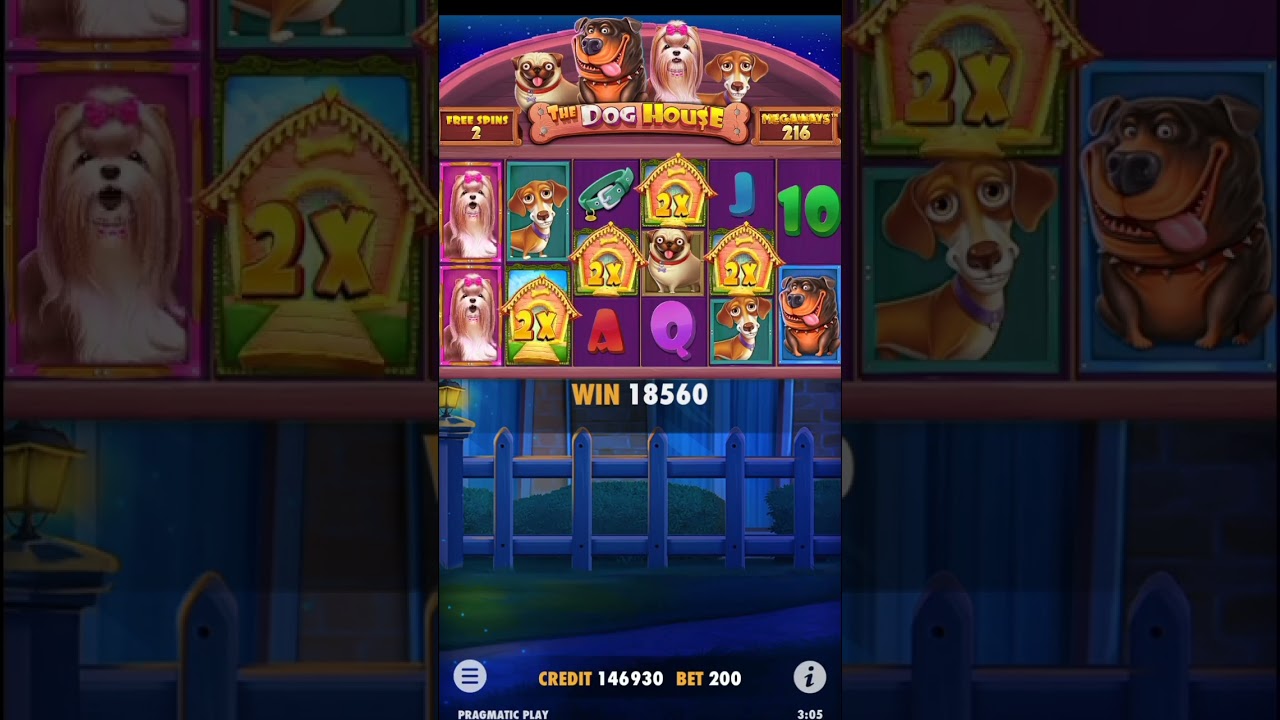 CASİNO BONUS BİGG WİNN