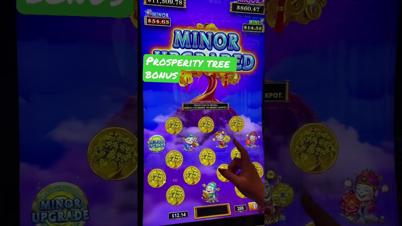 Prosperity tree bonus on .88 bet. #Irish Casino #slots #adventure